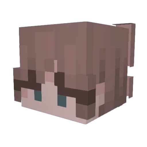 hookup4 Minecraft avatar head, 3D render