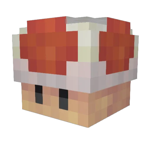 hoolahoopz Minecraft avatar head, 3D render