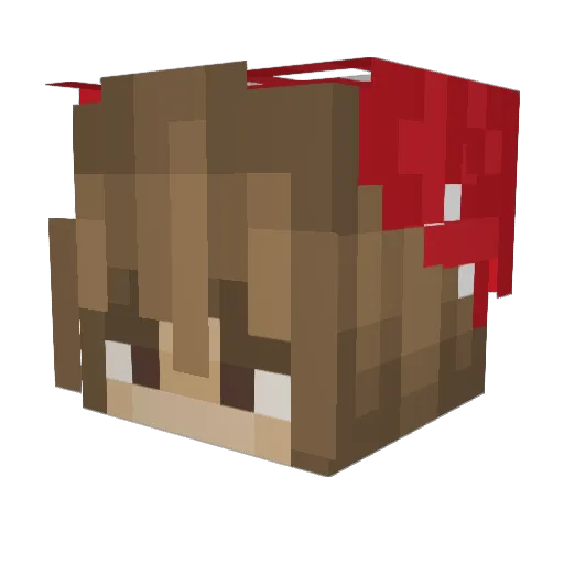 hoollyy Minecraft avatar head, 3D render