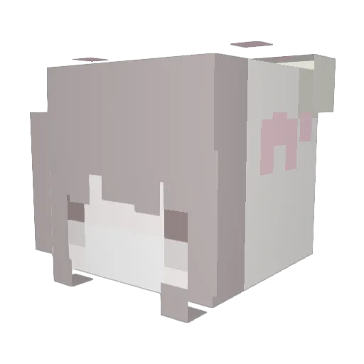 hoonilou Minecraft avatar head, 3D render
