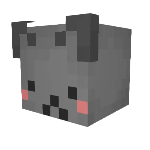 hooooky Minecraft avatar head, 3D render