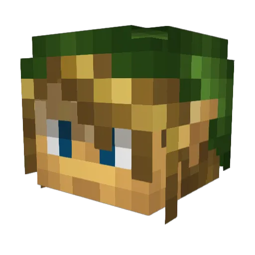 hoopdawg14 Minecraft avatar head, 3D render