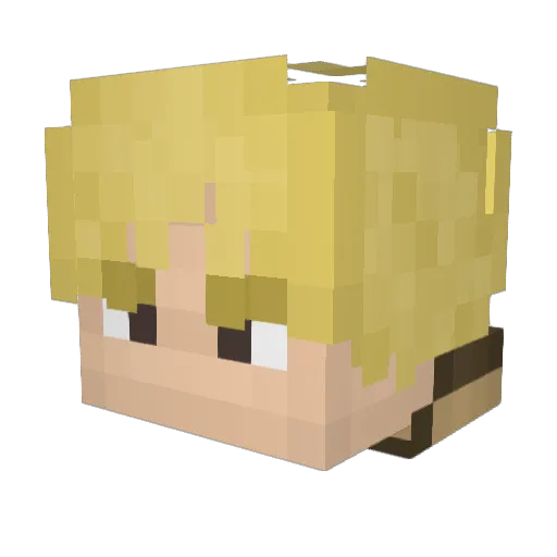 hoopesjake Minecraft avatar head, 3D render