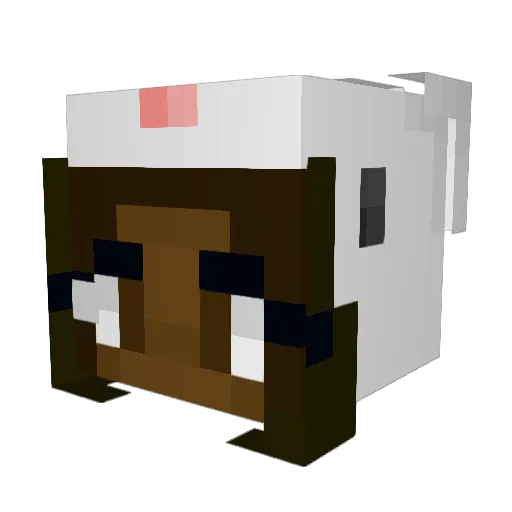 hooser_713 Minecraft avatar head, 3D render