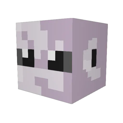 hooterrrrr Minecraft avatar head, 3D render