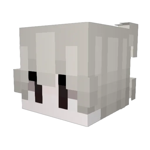 hope10001 Minecraft avatar head, 3D render