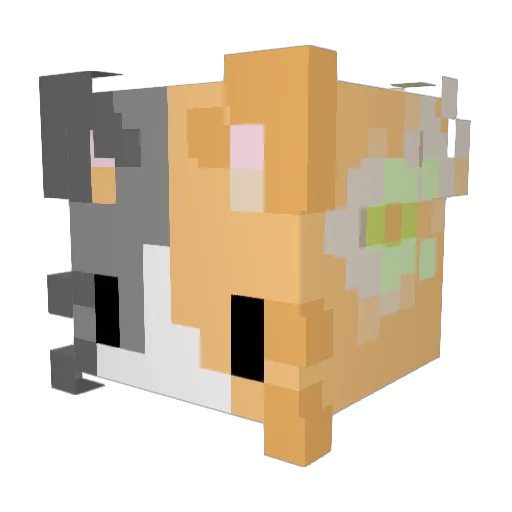 hope1015 Minecraft avatar head, 3D render