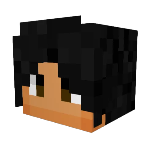 hope8oo Minecraft avatar head, 3D render