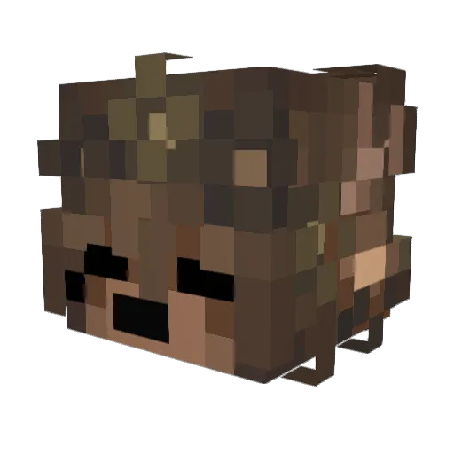 hopeIy Minecraft avatar head, 3D render