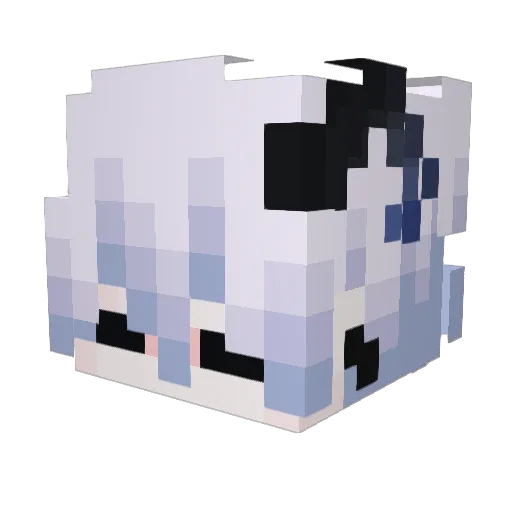 hope_awa Minecraft avatar head, 3D render