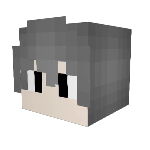 hope_coco Minecraft avatar head, 3D render