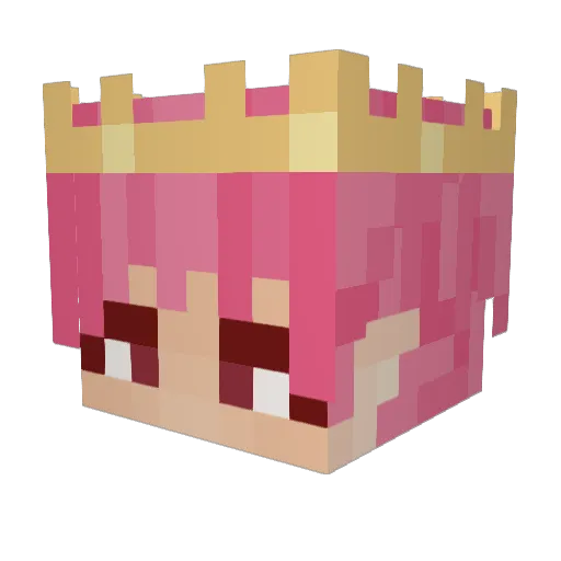 hopefor Minecraft avatar head, 3D render