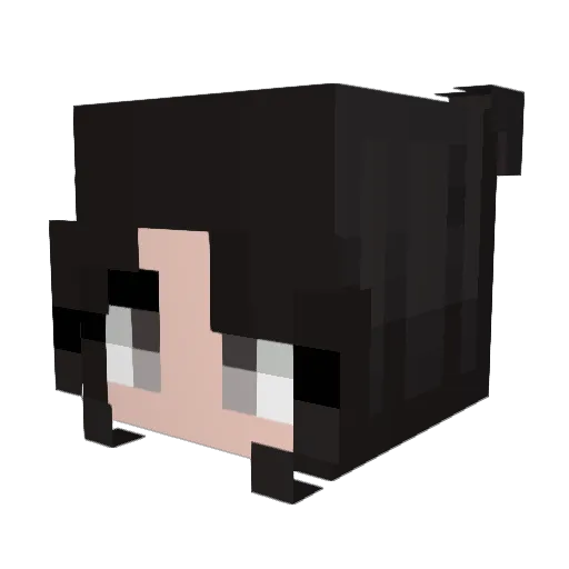 hopenluv Minecraft avatar head, 3D render