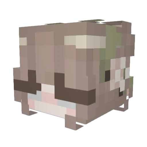 hopeorbits Minecraft avatar head, 3D render