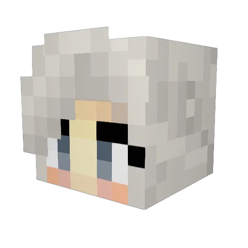 hoper1112 Minecraft avatar head, 3D render