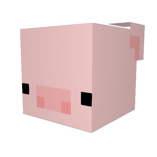 hopesfor Minecraft avatar head, 3D render