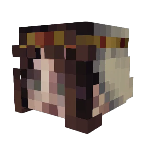 hopey Minecraft avatar head, 3D render