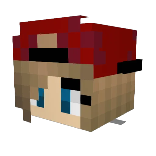 hopey_soapy731 Minecraft avatar head, 3D render