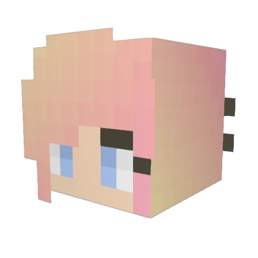 hopfrog16 Minecraft avatar head, 3D render