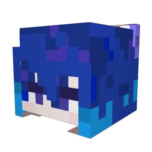 hopi113 Minecraft avatar head, 3D render