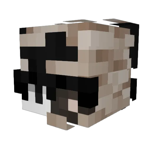 hopiae Minecraft avatar head, 3D render