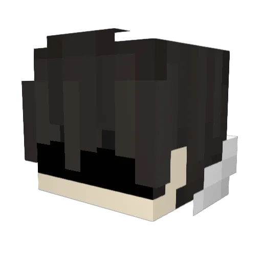 hoppapit29922373 Minecraft avatar head, 3D render