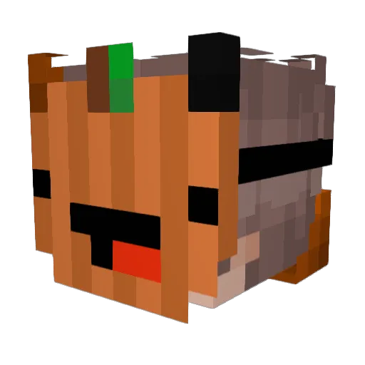 hoppingmexican18 Minecraft avatar head, 3D render