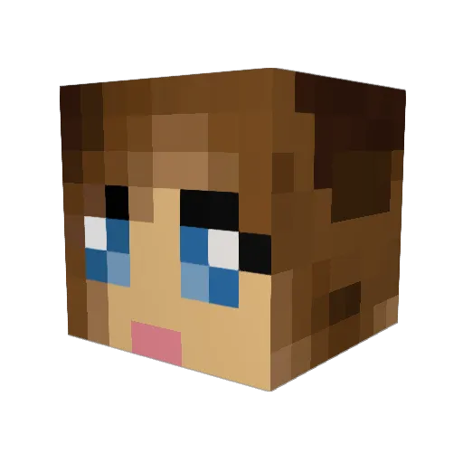 hoppsans Minecraft avatar head, 3D render