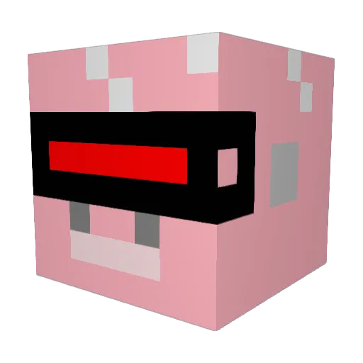 hoppygrob Minecraft avatar head, 3D render