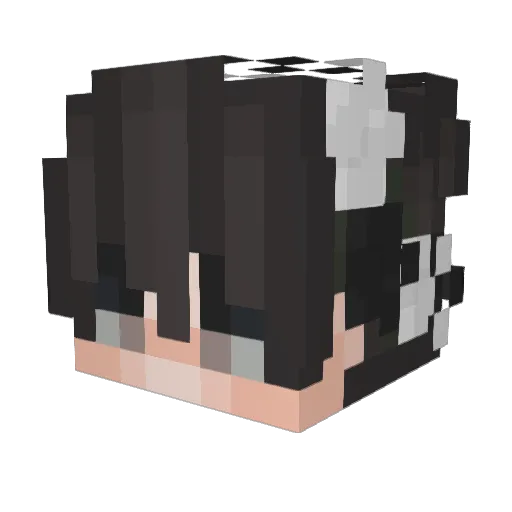 hoppykill Minecraft avatar head, 3D render