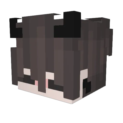 hops2nq Minecraft avatar head, 3D render