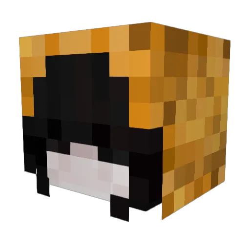 horchata_7 Minecraft avatar head, 3D render