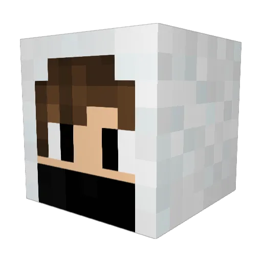 hord0317 Minecraft avatar head, 3D render
