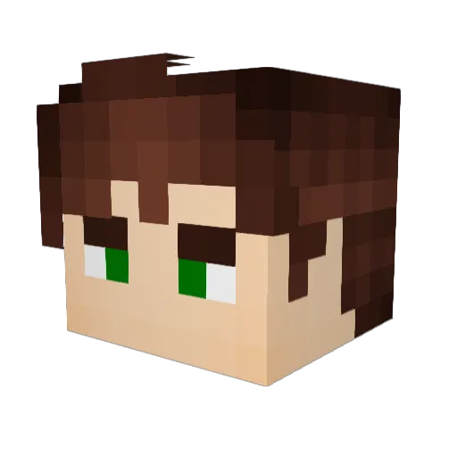 hordy17 Minecraft avatar head, 3D render