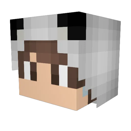 hornypanda408 Minecraft avatar head, 3D render