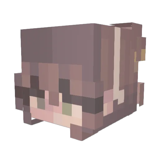 horseamy7 Minecraft avatar head, 3D render