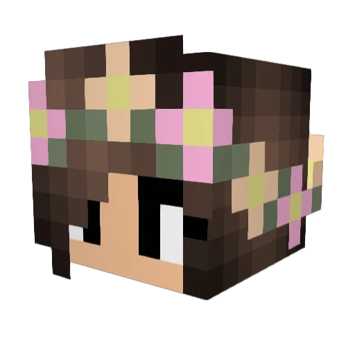 horsecrazy211 Minecraft avatar head, 3D render