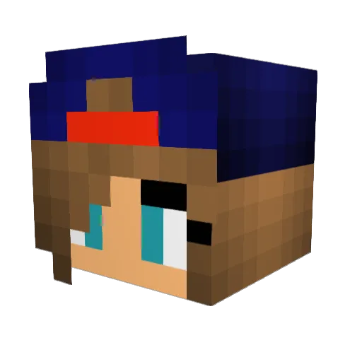 horsefreak199 Minecraft avatar head, 3D render