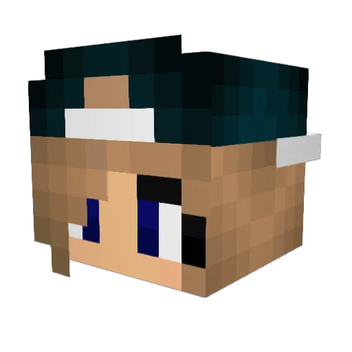 horselover2007 Minecraft avatar head, 3D render