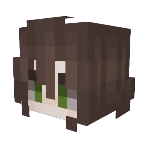 horselover554 Minecraft avatar head, 3D render