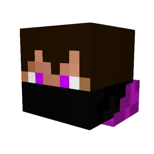 horsepills Minecraft avatar head, 3D render