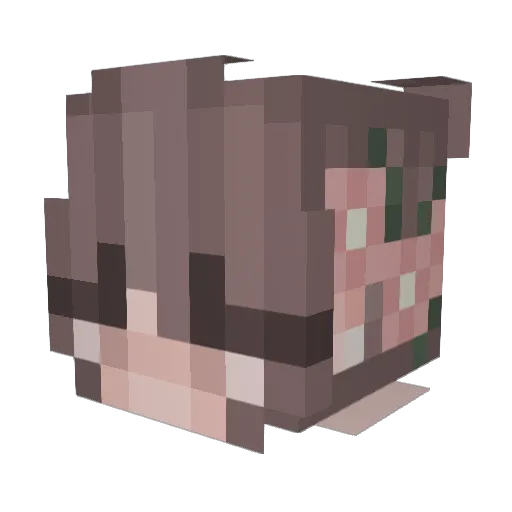 horsesrock1202 Minecraft avatar head, 3D render