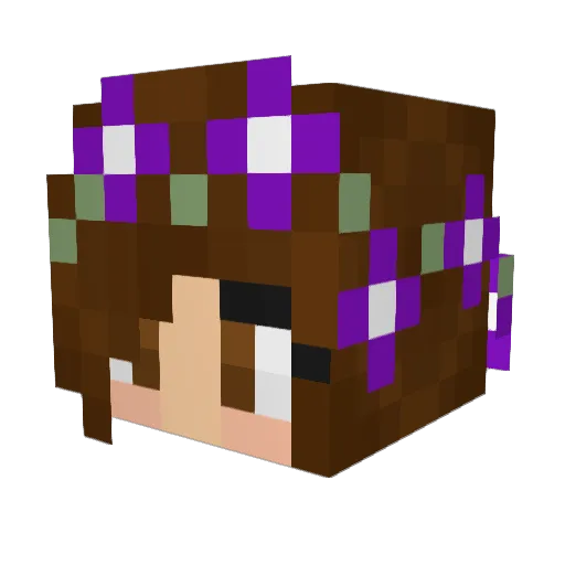 horsesrock152 Minecraft avatar head, 3D render