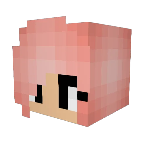 horsey1124 Minecraft avatar head, 3D render