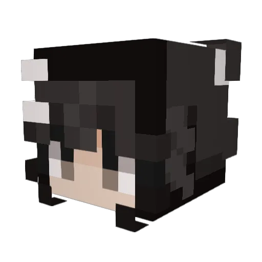 hoshi301 Minecraft avatar head, 3D render