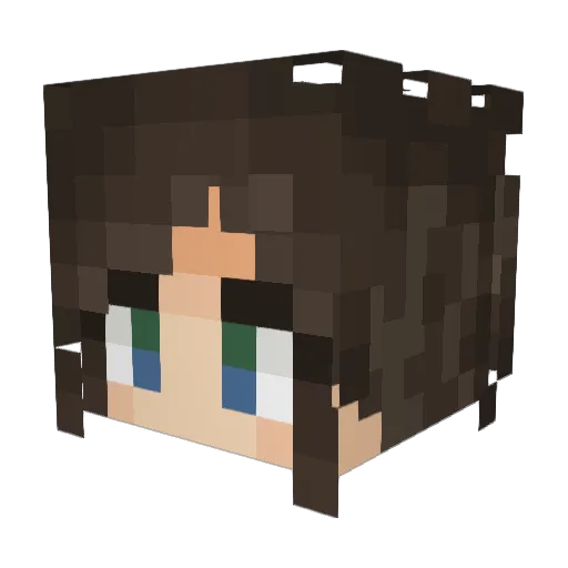 hoshikoshi Minecraft avatar head, 3D render