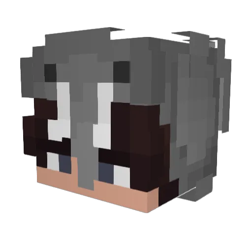 hoskinss Minecraft avatar head, 3D render