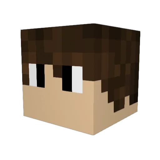 hosother Minecraft avatar head, 3D render