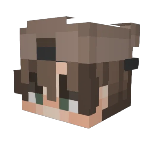 hotChoco06 Minecraft avatar head, 3D render