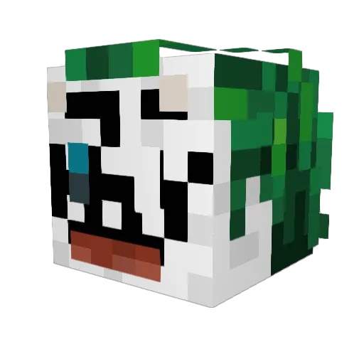 hotbaconsauce1 Minecraft avatar head, 3D render